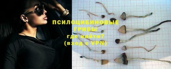 стаф Михайлов