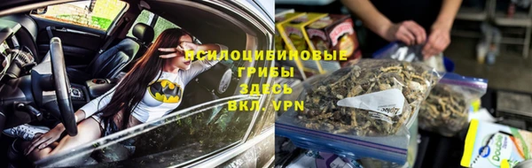 стаф Михайлов