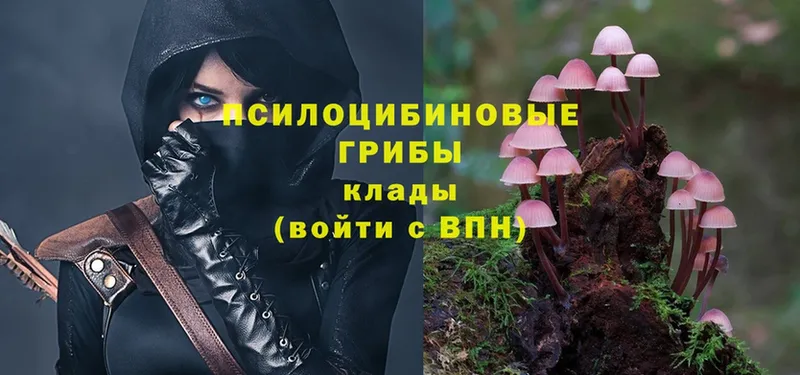 это телеграм  Кореновск  Галлюциногенные грибы MAGIC MUSHROOMS  ОМГ ОМГ ССЫЛКА 